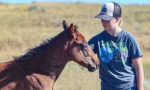 Gentle colt getting petted and really enjoying it